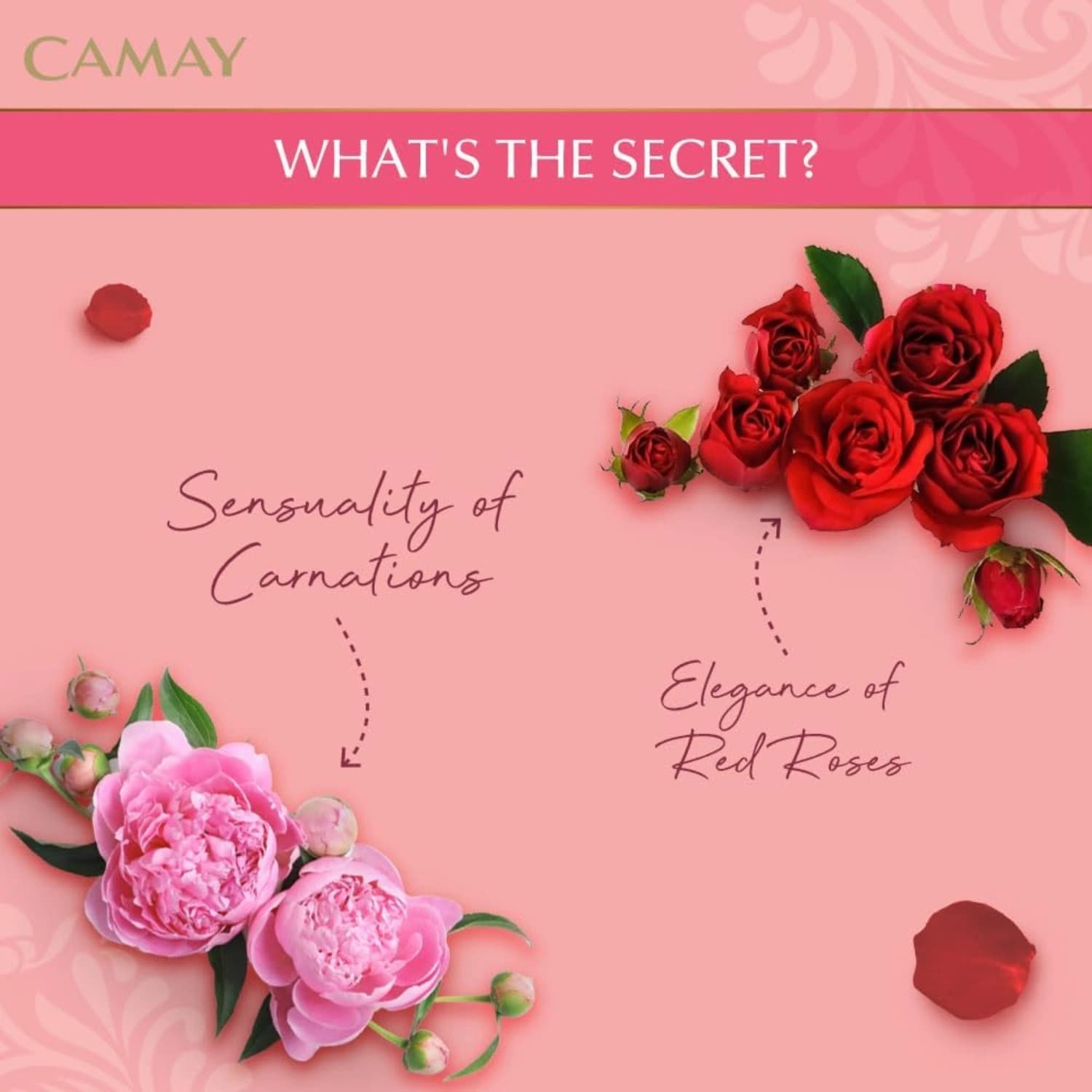 Camay Classic Soap 3 x 125g