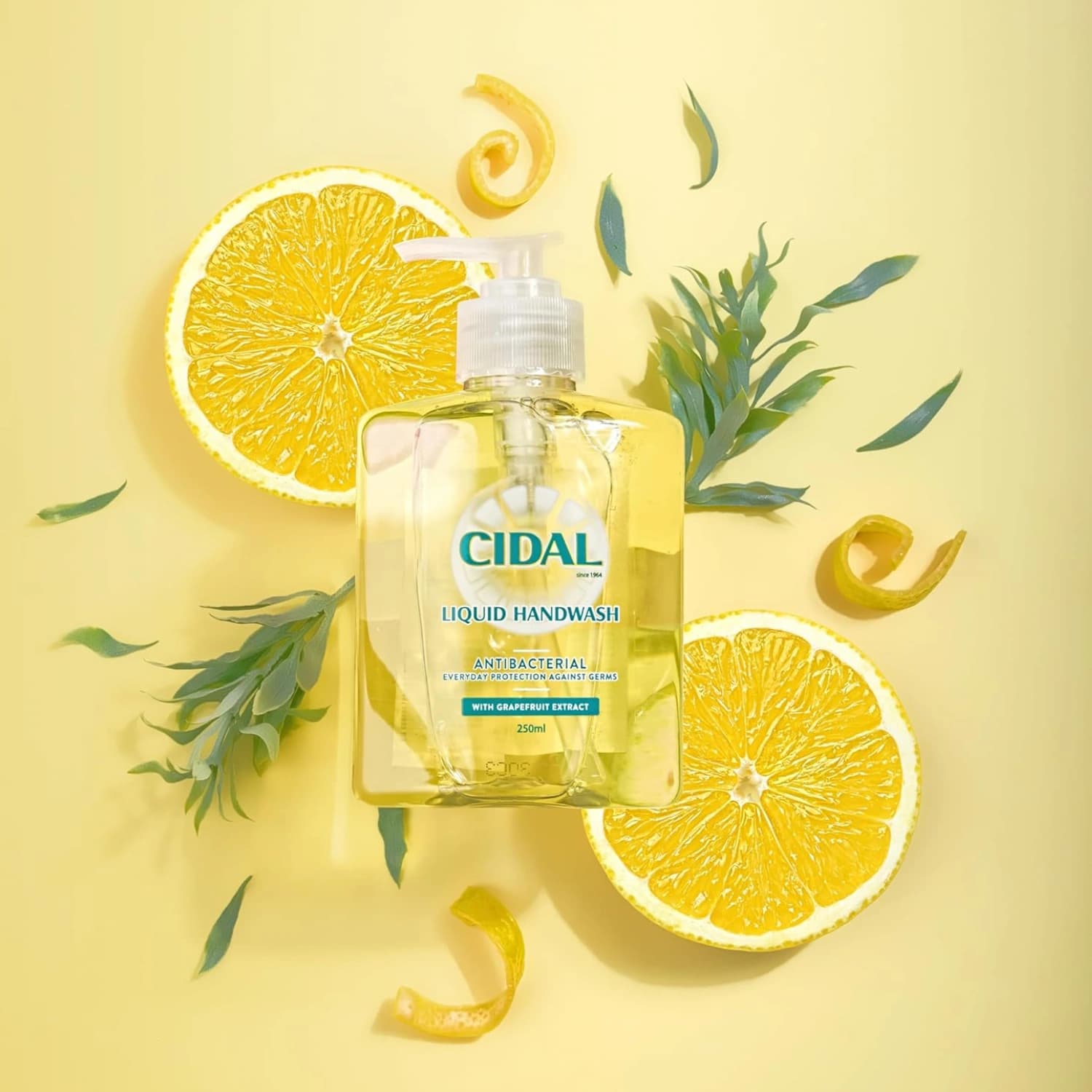 Cidal Antibacterial Liquid Handwash 250ml