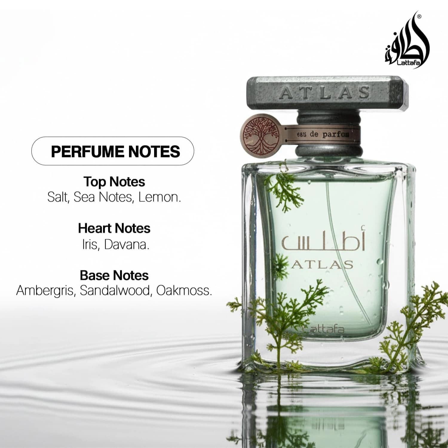 Lattafa Atlas Eau De Parfum 55ml
