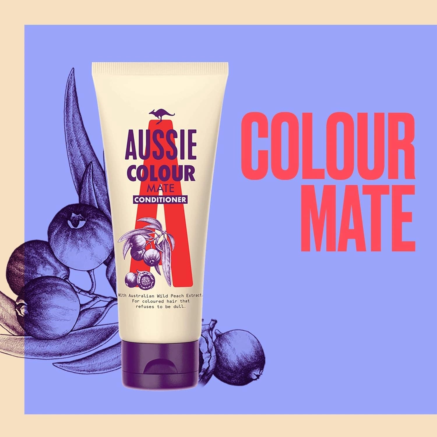 Aussie Colour Mate Conditionner 200ml
