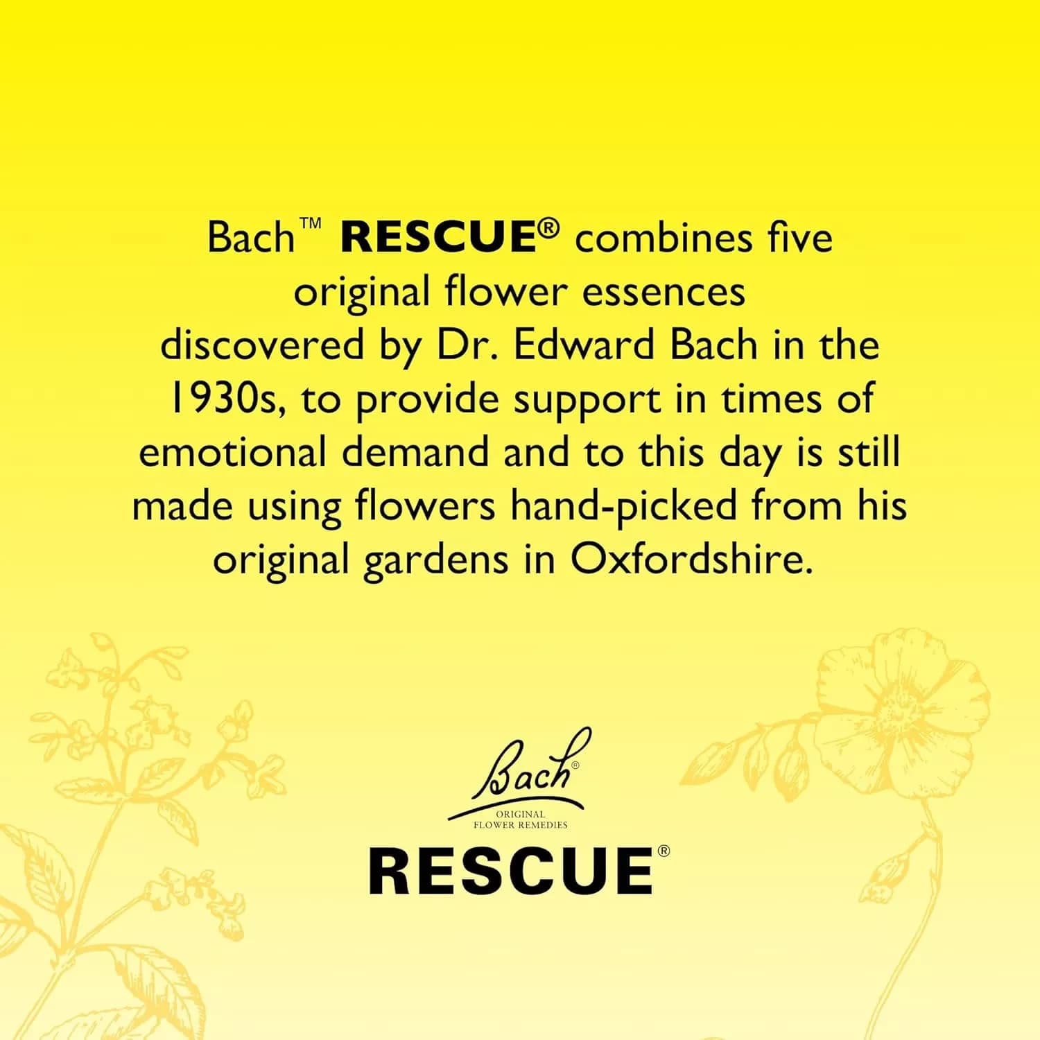 Bach Rescue Remedy Dropper 10ml