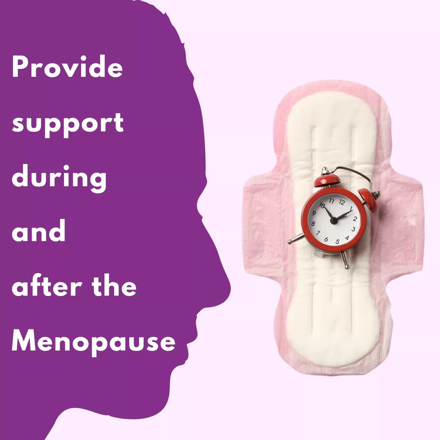 Vitabiotics Menopace Plus 56 Tablets