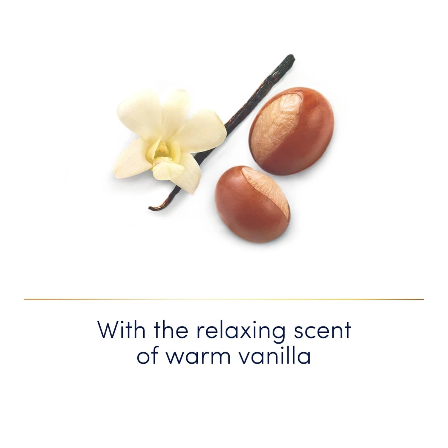 Dove Calming Shea Butter 450ml