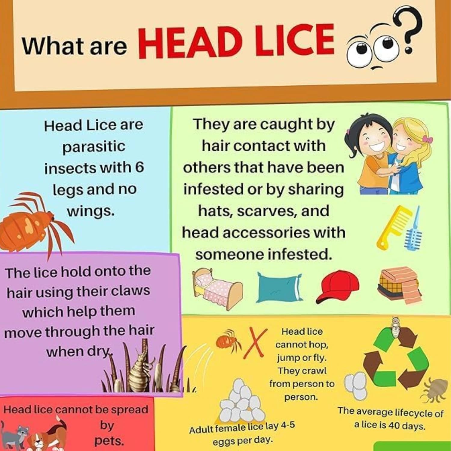 Escenti Kids Lice Repellent 3 in 1 Defence Shampoo 300ml