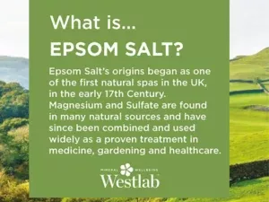 Westlab Epsom Salt - 1kg - Image 5