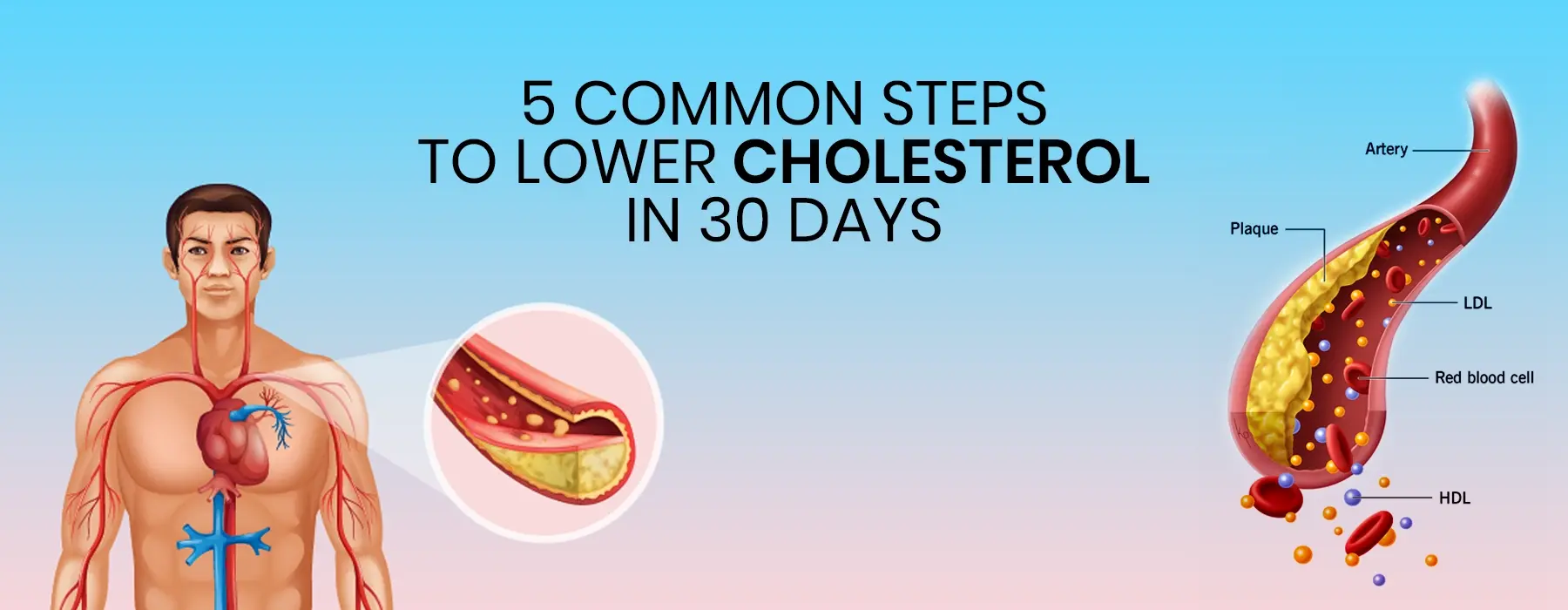 how to reduce cholesterol